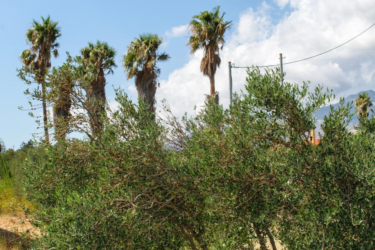 Villas Kozilis - Kozilis Estate Δαμνόνι Εξωτερικό φωτογραφία